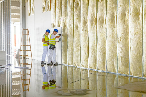 Best Commercial Insulation in Gluckstadt, MS